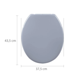 Assento Sanitário Astra Convencional Cinza Vip - TPJ/AS