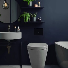 Assento Sanitário Tupan Car/Duna/Link/Vesu Term Soft Close Antracite Fosco - ADCN85SC