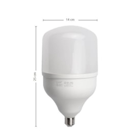 Lâmpada LED Bronzearte Bulbo 50W 6500K Branca - LDBAFP50C6