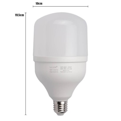 Lâmpada LED Bronzearte Bulbo High 30W 6500K Bivolt - LDBAFP40C6