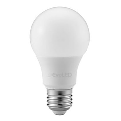 Lâmpada LED Evoled Bulbo A65 12W 6500K - LE-3210