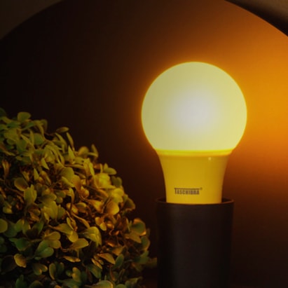 Lâmpada LED Taschibra TKL Amarela Anti-Inseto 5W - 11080391