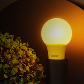 Lâmpada LED Taschibra TKL Amarela Anti-Inseto 5W - 11080391