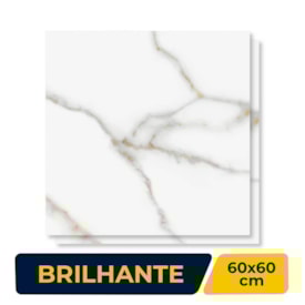 Piso Cerâmico Brilhante 60x60cm Caixa 2,52m² Karina Bernini Retificado - 60313
