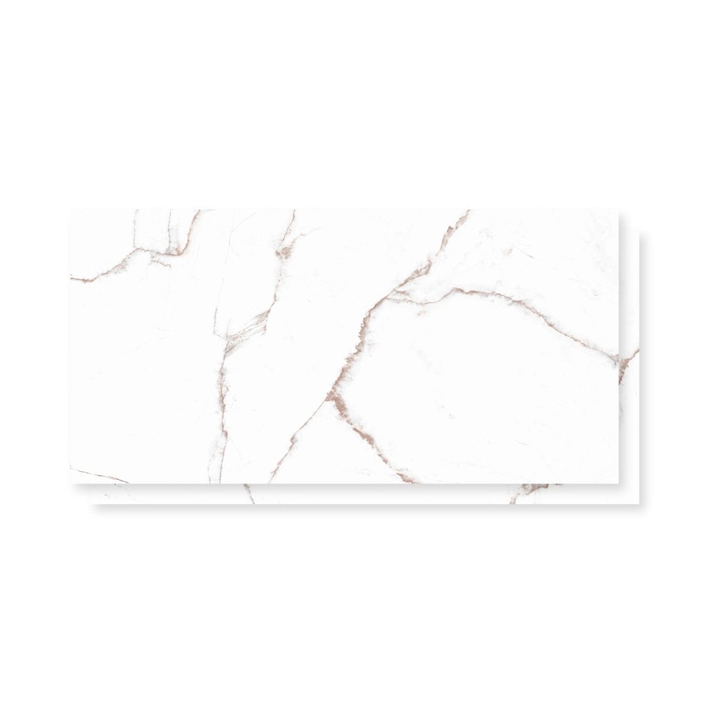 Porcelanato Polido 61x120cm Caixa 2,20m² Damme Branco Pigues Retificado - PR12256