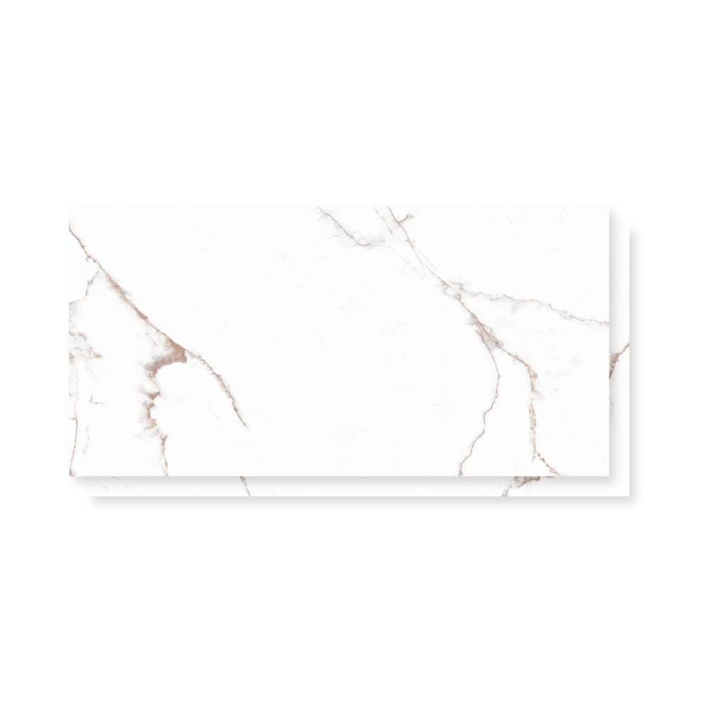 Porcelanato Polido 61x120cm Caixa 2,20m² Damme Branco Pigues Retificado - PR12256