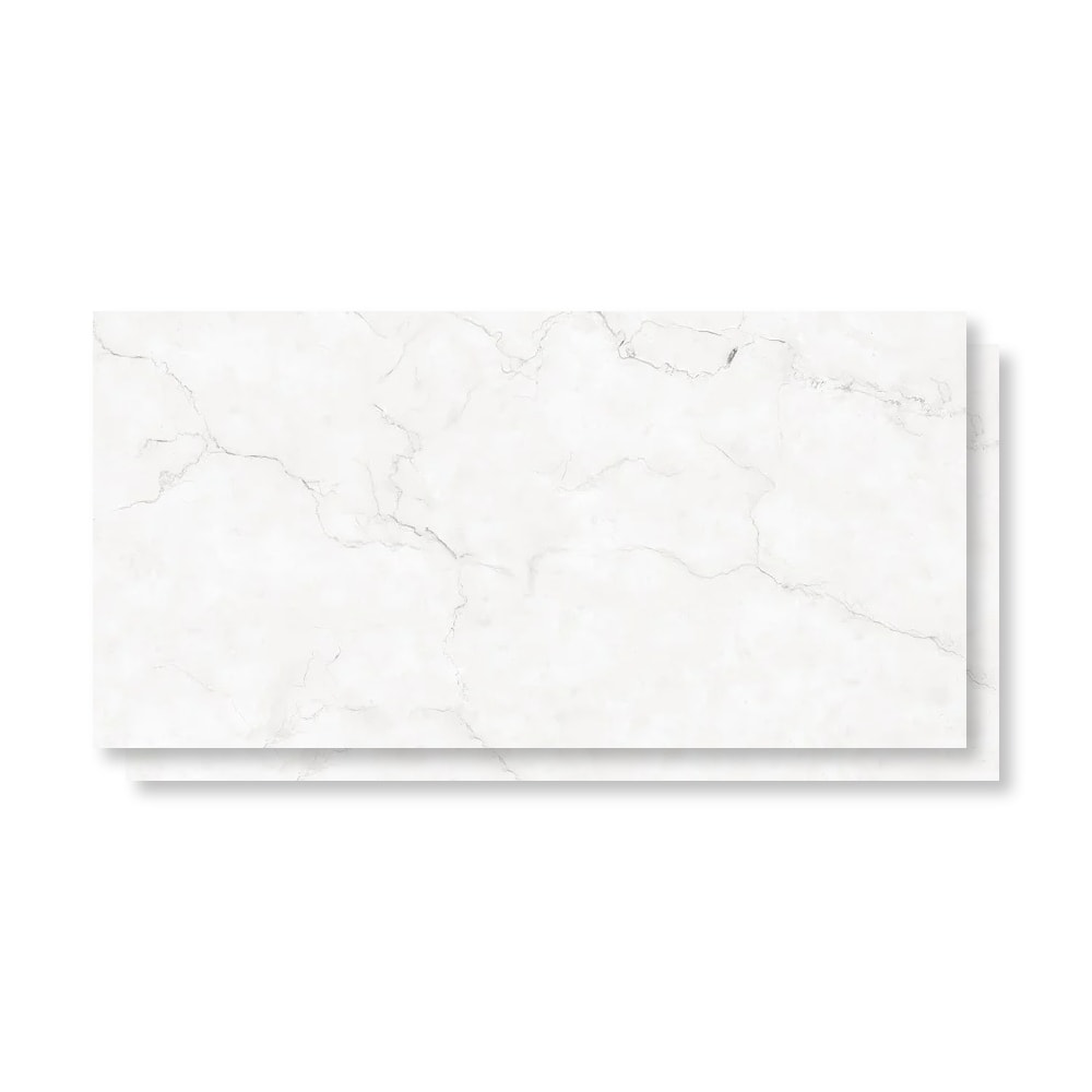 Porcelanato Polido 61x120cm Caixa 2,20m² Damme Maestro Blanc Retificado - PR12170