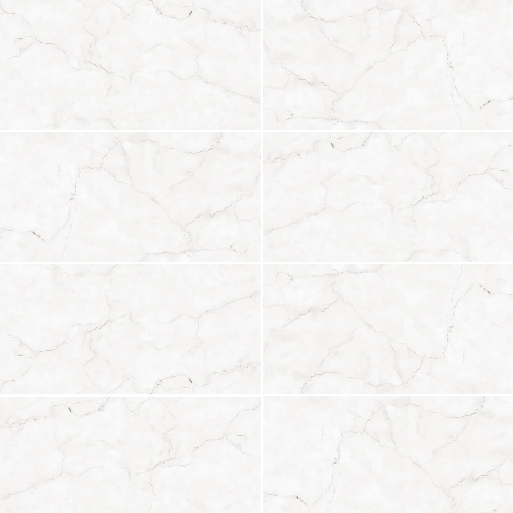 Porcelanato Polido 61x120cm Caixa 2,20m² Damme Maestro Blanc Retificado - PR12170