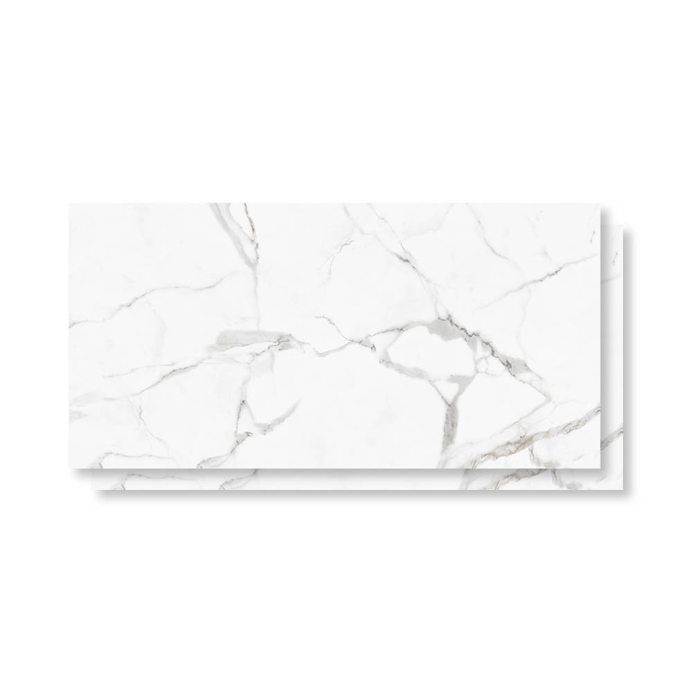 Porcelanato Polido 62x121cm Caixa 2,25m² Damme Calacata Retificado - PR12002