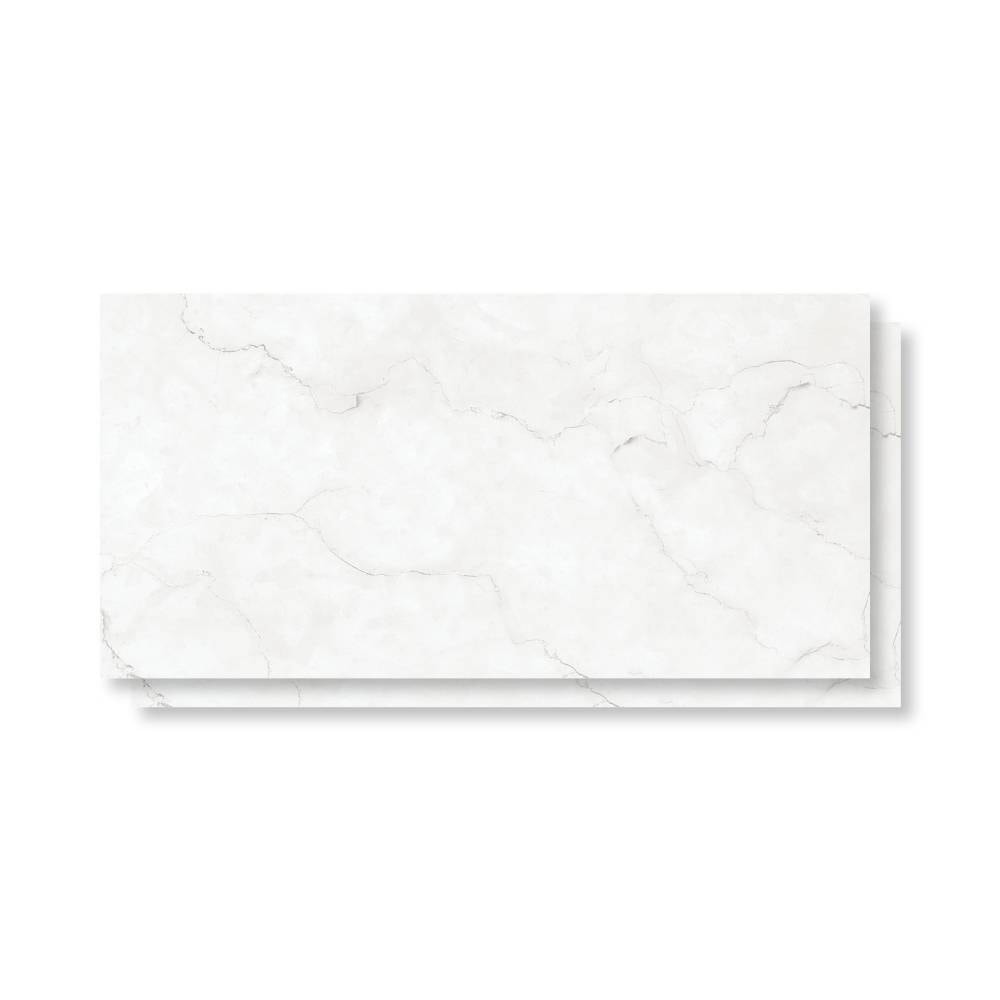 Porcelanato Polido 62x121cm Caixa 2,25m² Damme Maestro Blanc Retificado - PR12170