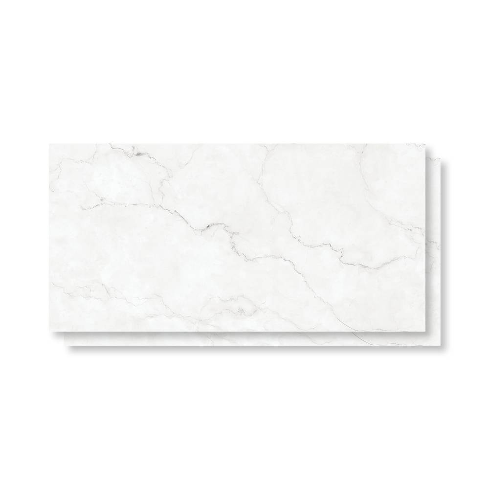 Porcelanato Polido 62x121cm Caixa 2,25m² Damme Maestro Blanc Retificado - PR12170