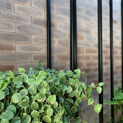 Revestimento Cerâmico Natural 24x07cm Caixa 1,00m² DeRosso Filete Inglês Tabaco - 8013.07/2174