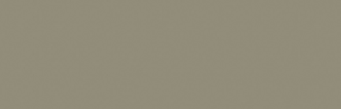 Revestimento de Parede Cerâmico Brilhante 8,2x25,9cm Caixa 0,53m² Portinari Decora Sgr Lux Bold - 59354