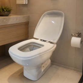 Vaso Sanitário Bacia Convencional + Acessórios Vivace Camburi Branca
